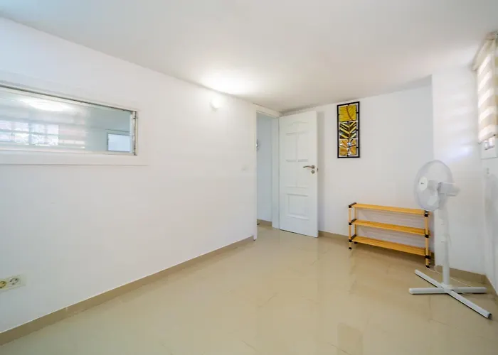 Camelia לאס גלטאס