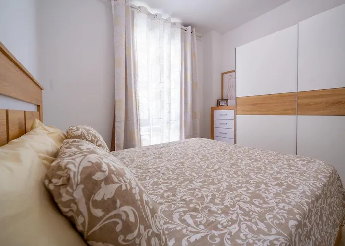 Camelia לאס גלטאס